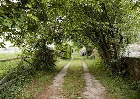 Oda ve Kahvaltı La Casa Nel